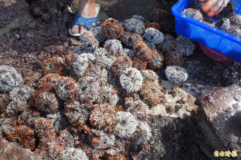 ä»å¹´æµ·è½å¹é«è®äººè¶¨ä¹è¥é¶©ï¼å»ä¹é£å³å©èµ·æººæ°´æå¤ãï¼è¨èåç¦¹æ¶æï¼