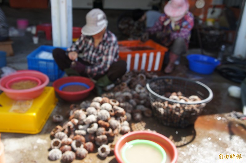 æµ·è½æ¯è¨±å¤æ¼æå©¦å¥³å¯æ¥­ä¾æºï¼å¸¶åç¶æ¿ãï¼è¨èåç¦¹æ¶æï¼