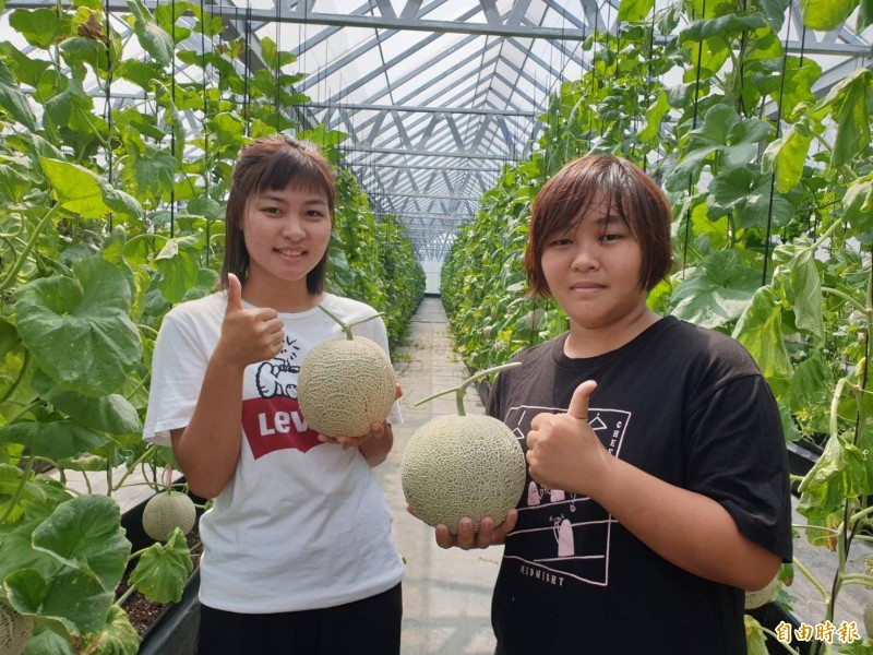 劉文茵（右） 、劉懿緯（左）姐妹花，種出甜美洋香瓜。（記者羅欣貞攝）