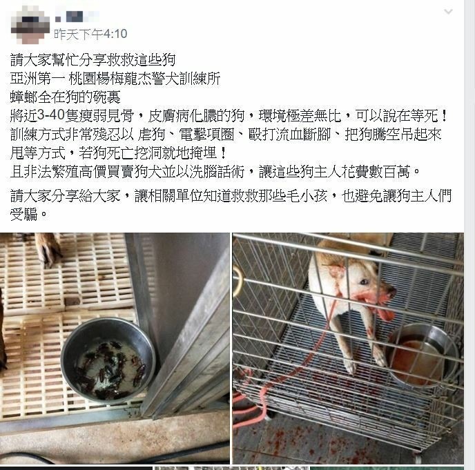 民眾在臉書「爆料公社」控訴桃園市楊梅龍杰警犬訓練中心虐狗。（記者許倬勛翻攝）