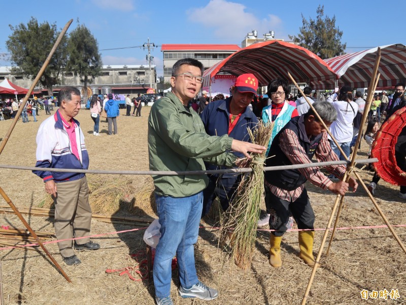 農友重現日治時期曾在台灣盛行的倒吊日曬米方式。（記者歐素美攝）