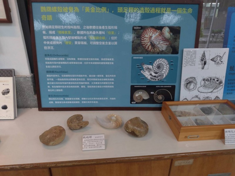 楊慶鴻化石巡迴展展示內容豐富。（記者洪臣宏翻攝）