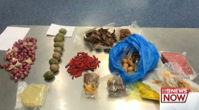 45歲越南婦女行李中出現未申報的食物，包括4.5公斤的豬肉、少量的鵪鶉肉、魷魚、肉醬、生雞蛋和大蒜等。（圖擷取自澳洲9NEWS影片）