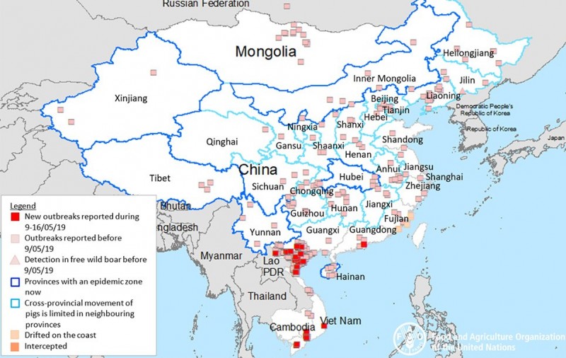 中國管控不住非洲豬瘟，導致鄰國紛紛淪陷，亞洲各國莫不嚴陣以待。紅點為新出現的疫情，淡粉點為過去疫情。（圖擷自聯合國糧食及農業組織網站）