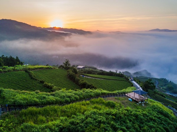 坪林茶鄉獲選國際「2018全球百大綠色旅遊目的地」。（資料照）