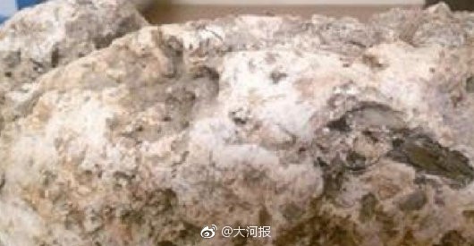 中國廈門有名男子日前在海灘上拾獲軟爛且氣味難聞的怪石頭，直到專家鑑定後，發現竟是珍貴的鯨魚嘔吐物「龍涎香」。（圖擷取自微博）