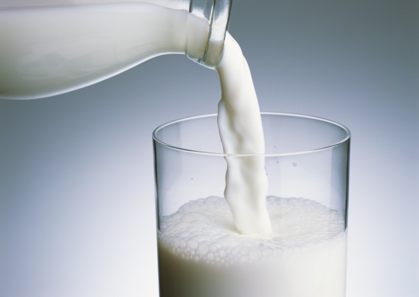 專家表示，姑婆芋中的草酸與牛奶中的鈣質結合，可緩解麻痛的症狀。（情境照）