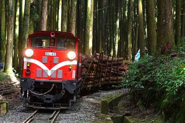 臉書粉絲團「Rail News 鐵道情報」日前分享了一張林鐵小火車載著木材行駛的照片，引起鐵道迷熱烈回應。（鐵道情報雜誌提供）