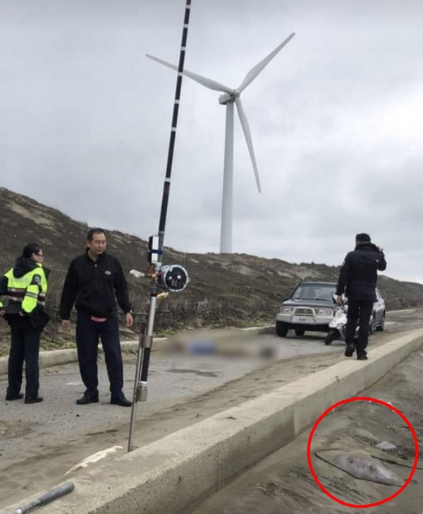 獨家 男釣客倒臥海邊疑遭魟魚刺死 社會 自由時報電子報