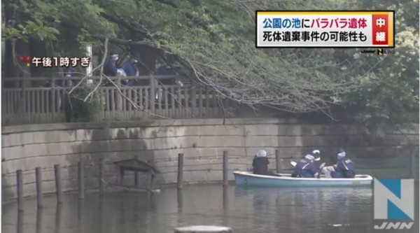 東京公園水池浮出屍塊頭顱呈現 白骨化 國際 自由時報電子報