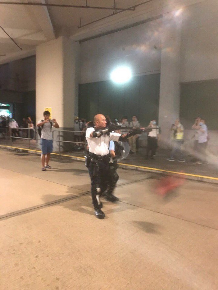 香港網友指出，該把槍為雷明登870泵動式霰彈槍。（圖擷取自TG＿大消物）