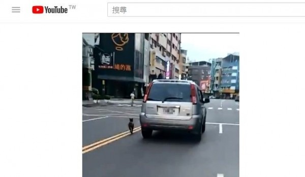 有名網友在《爆料公社》分享一則貼文,內文指出今(6)日早上5時許,在台南市東區崇明路308巷往崇學路方向,有一名汽車駕駛一手開車,另一隻手牽著小狗讓牠在大馬路上狂奔。(翻攝自「cycy Liu
」YouTube) 有名網友在《爆料公社》分享一則貼文,內文指出今(6)日早上5時許,在台南市東區崇明路308巷往崇學路方向,有一名汽車駕駛一手開車,另一隻手牽著小狗讓牠在大馬路上狂奔。(翻攝自「cycy Liu
」YouTube)