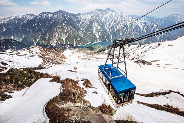 立山黑部大雪壁震撼開山紫藤花瀑夢幻綻放 熱門新訊 自由電子報