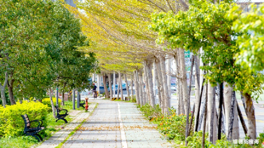 竹北8分鐘 這區高CP房價菁英青睞