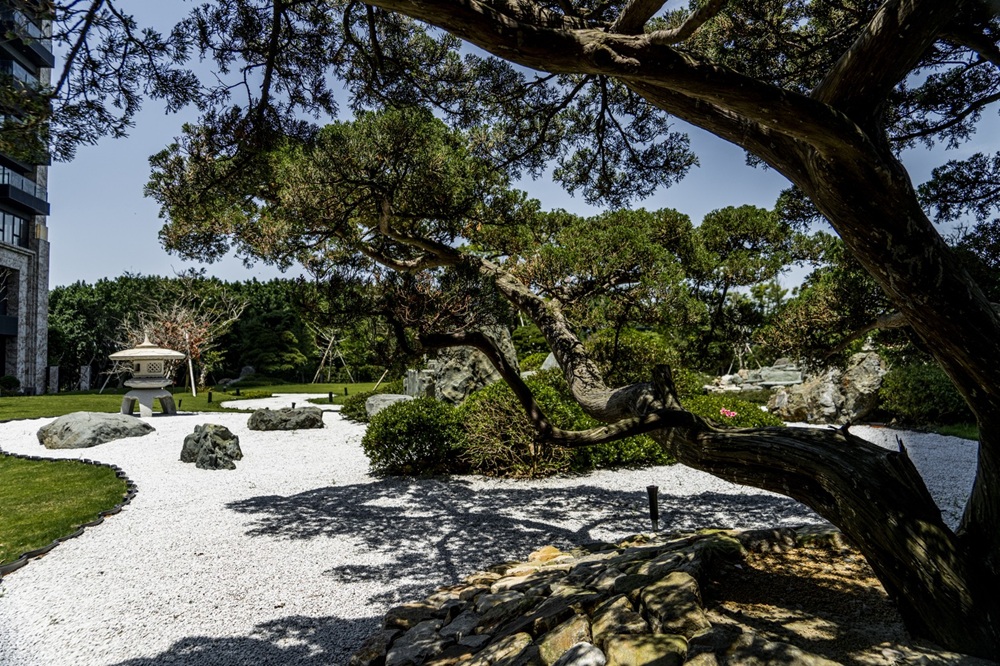 千坪老樹景觀庭園，獻給家族歷久彌新的涵養。(圖／業者提供)