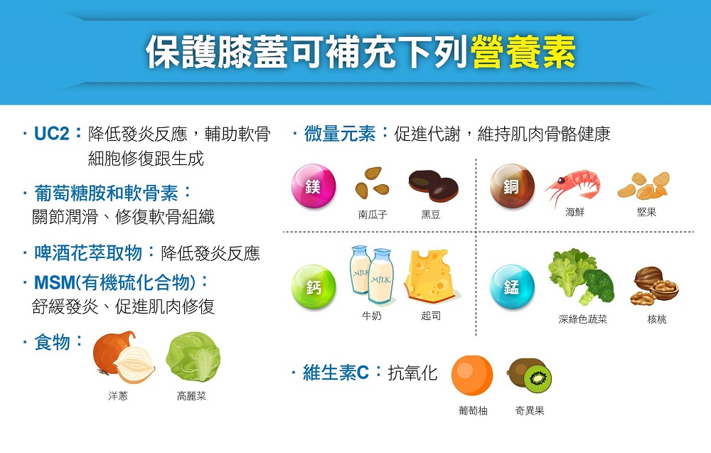 ▲留意日常飲食、攝取必備營養素有助於膝蓋保養並強健關節靈活，必要時可額外補充如 UC2、啤酒花等保健品。（圖／自由時報製作）