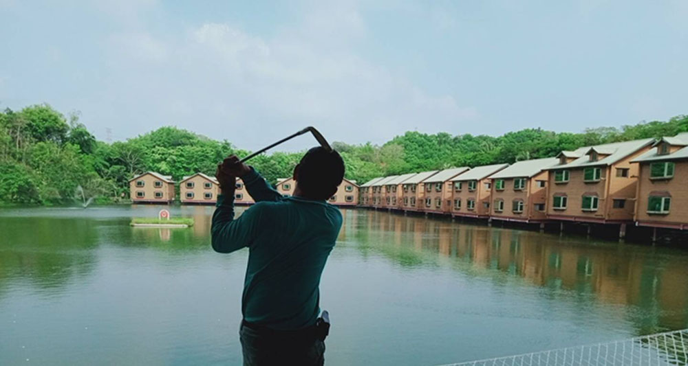 南元農場 加勒比海花卉展 麒麟玫瑰、小百日菊 浪漫美麗！