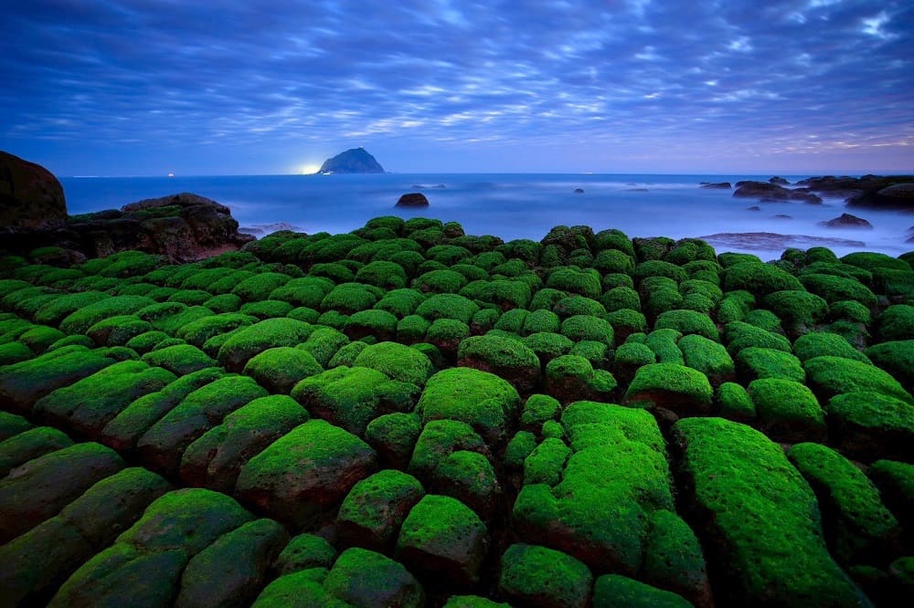 被綠藻覆蓋的岩石，鮮綠與深藍交織成壯麗畫布，吸引無數攝影愛好者追景。（圖／北海岸及觀音山國家風景區管理處提供）