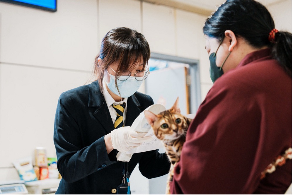 ▲圖片來源：桃園機場公司