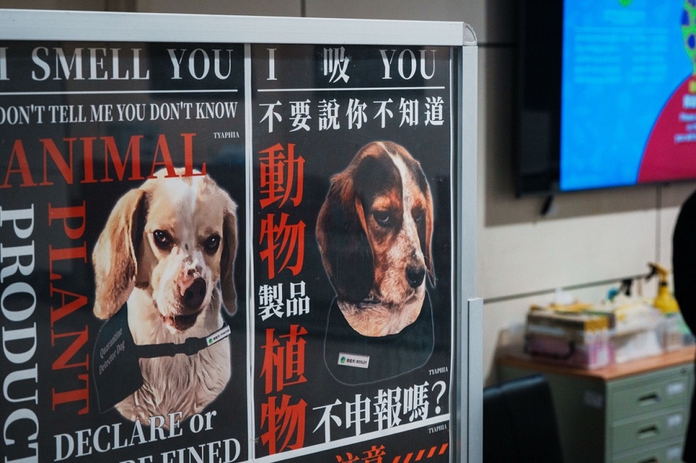 ▲圖片來源：桃園機場公司