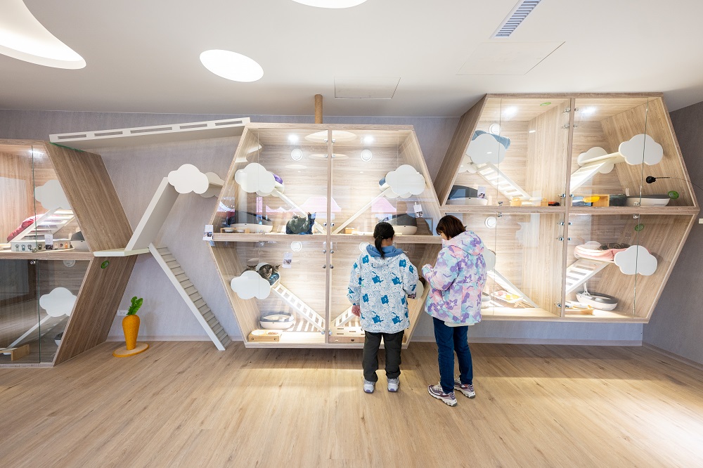 全國首座綜合型動保教育園區「南昌動物保護教育園區」，提供一站式服務，讓犬貓認養流程更便捷順暢。（圖/桃園市政府提供）