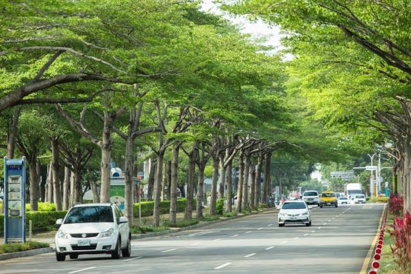 台中人共同的生活記憶  承先啟後的中軸線—崇德路