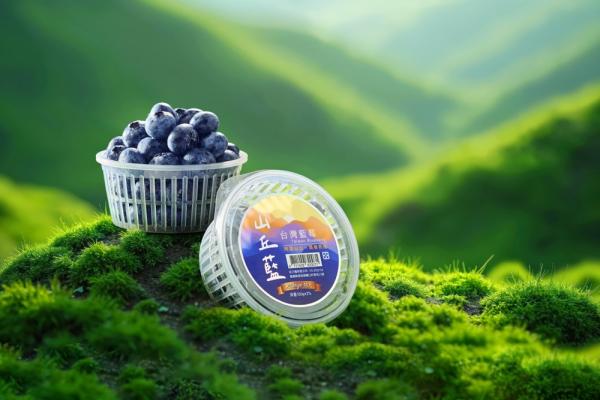 昨天還在樹上的藍莓！2026山丘藍產季開始！