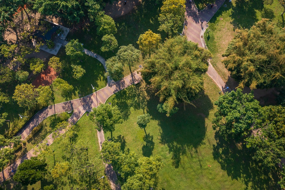 「耕蘊」近鄰大安森林公園，將自然綠意收藏為日常風景。（實景拍攝／業者提供）