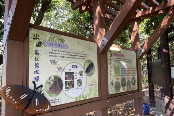 扶輪社轉型「生態創造者」以紫斑蝶為起點深耕苗栗生態教育