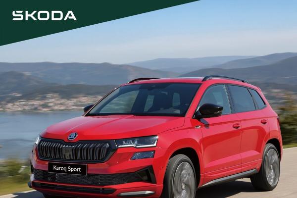 延續棒球的國旗感動！ Škoda 號召全台：換我們為捷克吶喊！
