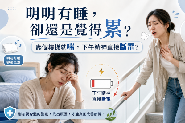 不是只有累！身體高耗能部位「續航力變差」恐是能量代謝拉警報