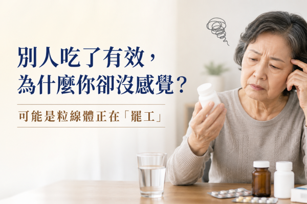 別人吃了有效　為什麼你卻沒感覺？可能是粒線體正在「罷工」