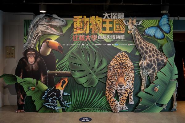 世界級自然史特展來台首展 《動物王國大探險展》科教館登場