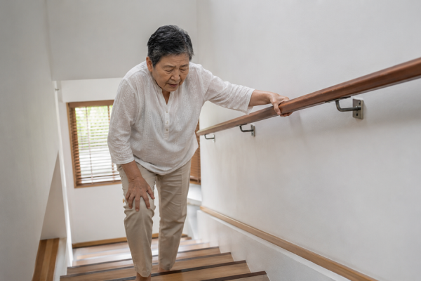 關節保養為何開始談「粒線體」？博士揭密身體恢復慢的真正原因