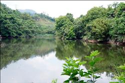 橫山村三叉埤 營造觀光景點