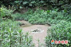 富陽生態公園 水池乾掉了