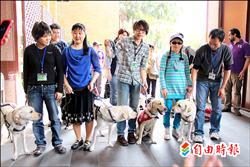 導盲犬挨砸失明 4犬友法庭旁聽