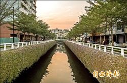 幸福川百花繽紛 迎賓報喜