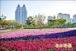 宜居花園城市 港都花海綻放
