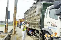 萬丹、里港 設禽流感消毒管制站