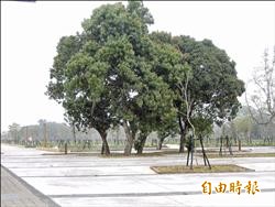 嘉市林業文化公園 再延至8月開園