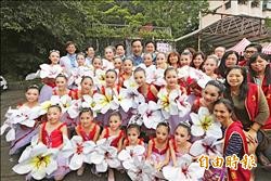 新北桐花祭 土城承天路最茂密