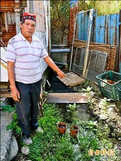 花東新村地勢低積水 盼建排水溝