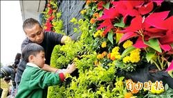 關山花海 20公頃向日葵待見客