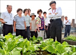 北市社區園圃補助20萬 20提案明審查
