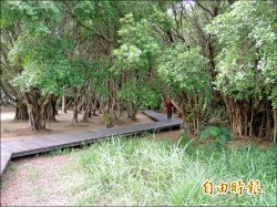 巴克禮公園擴建工程 奪全球卓越建設獎