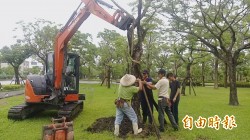 風災樹倒310棵 挨批人為問題