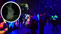 傻眼！稽查夜店 驚見「草泥馬」瑟縮寒風中