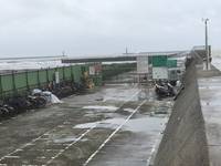 3男安平港堤防晨跑  遭瘋狗浪撲倒1死2傷