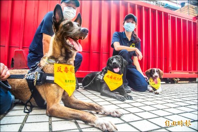 高雄反毒 「萌」犬亮相